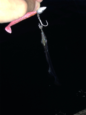 今シーズン1番の冷え込み