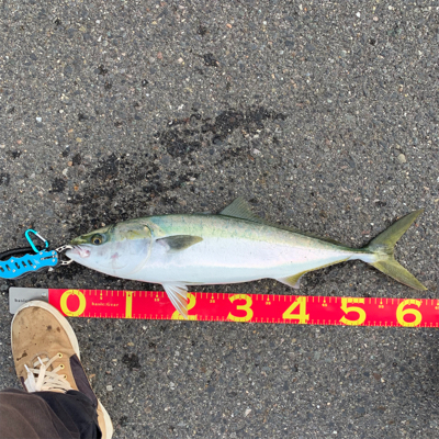 自己ベスト！！