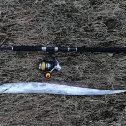 LSJigginger1700〜1745 アジンガー1755〜1900