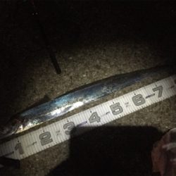 なんとかボウズ逃れ