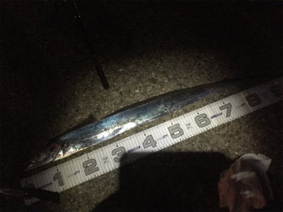 なんとかボウズ逃れ