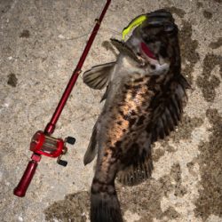 ガチャガチャの釣り竿にて