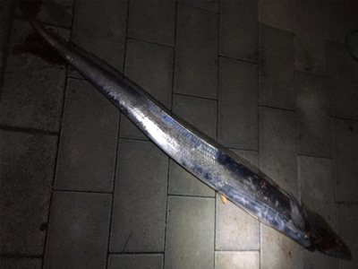 ワインド＆ライトショアジギング