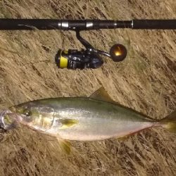 LSJigginger/アジンガー1705〜1910