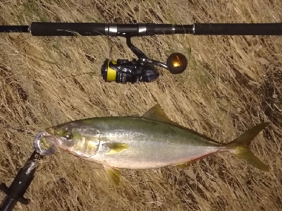 LSJigginger/アジンガー1705…