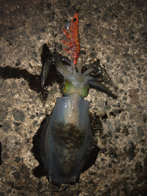 粘って何とか、、