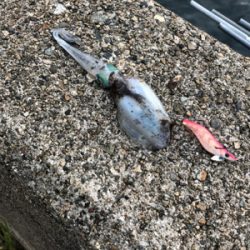 遅生まれってやつかな