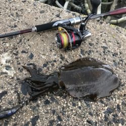 鳥取、島根の2泊3日遠征！