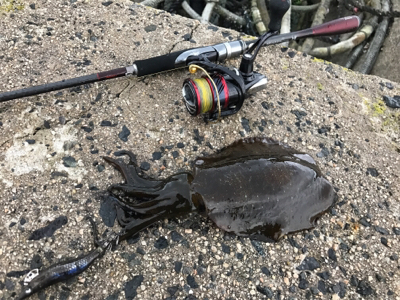 鳥取、島根の2泊3日遠征！