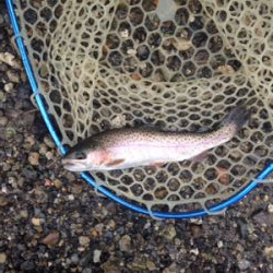 大雨は吉とでるか凶とでるか！？