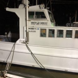 ティップランで数釣り