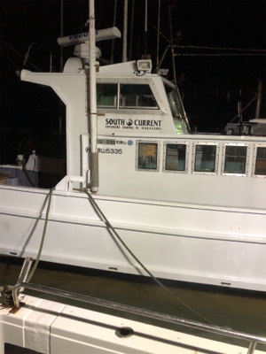 ティップランで数釣り