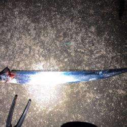 週末のタッチーチャレンジ