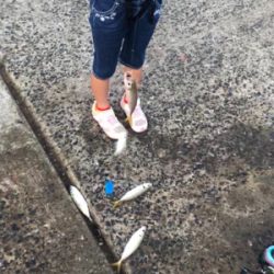 ファミリーフィッシング