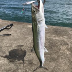 やっぱりショアジギングは面白いっ！