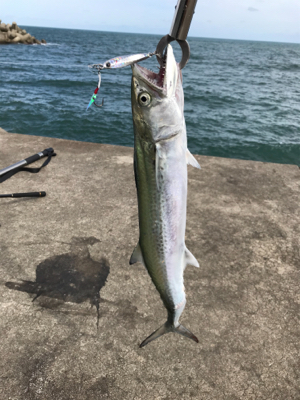 やっぱりショアジギングは面白いっ！