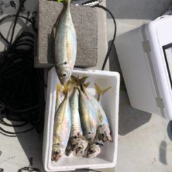 手漕ぎボート遊び