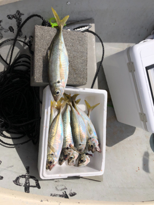 手漕ぎボート遊び