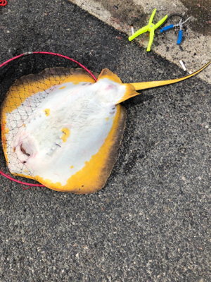 親父たちの釣行　近場編