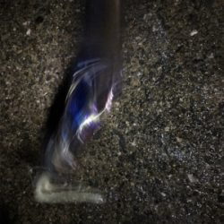 ボウズじゃなくて良かった