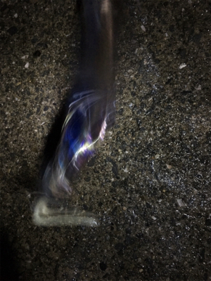 ボウズじゃなくて良かった