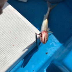 オフショアジギ初挑戦