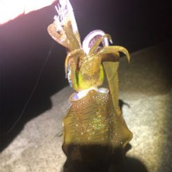 なんとか坊主はまぬがれた。