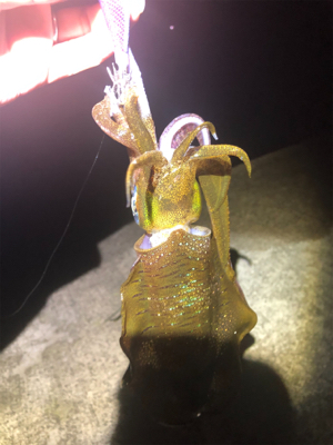 なんとか坊主はまぬがれた。