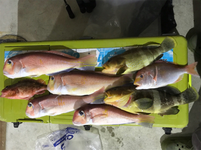 マイボートでアマダイ狙い！