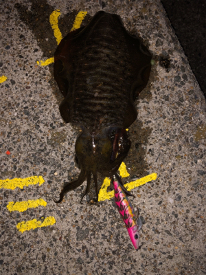 平磯ナイター営業