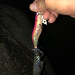 熱帯低気圧の雨がくる前に