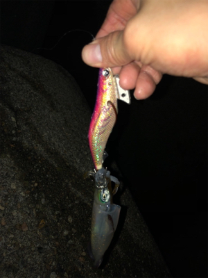 熱帯低気圧の雨がくる前に