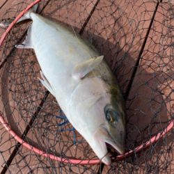 じゃのひれフィッシングパークにて