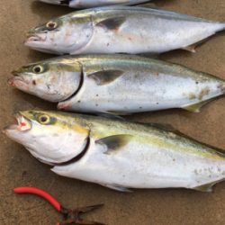 準備のの甘さで……。