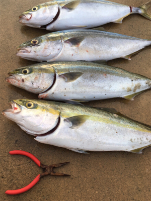 準備のの甘さで……。