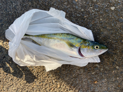 ポーズは逃れているが