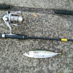 お隣さんに感謝