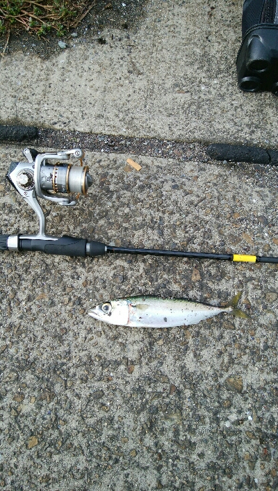 お隣さんに感謝