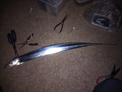 雨の後は釣れない？