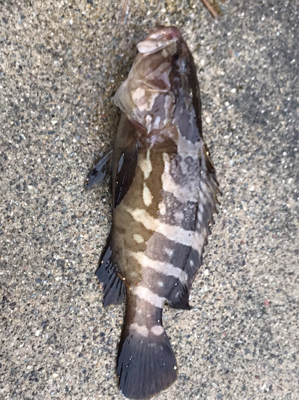 連休妻と釣り旅行