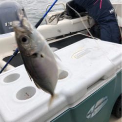 大阪湾奥でアジ釣り♪