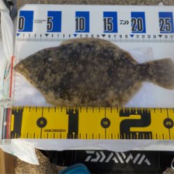 投げ釣りのエース登場