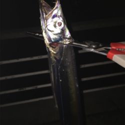 数が伸びないです