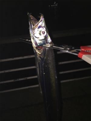 数が伸びないです