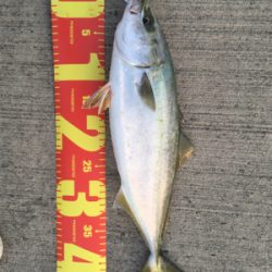 3時〜7時まで釣行