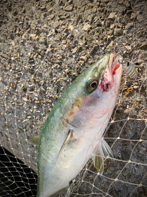 リミットメイク②