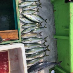 孝洋丸 落とし込み&飲ませ