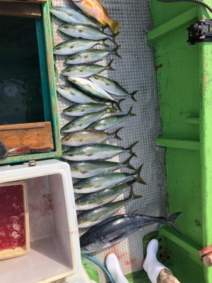 孝洋丸 落とし込み&飲ませ