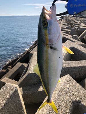 渋い中のハマチ一本