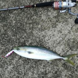 ベイトは多いが